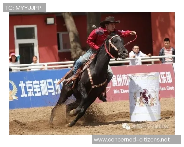 西安排球队在邀请赛中以81分稳居积分榜首位 西安排球队在邀请赛中以81分稳居积分榜首位