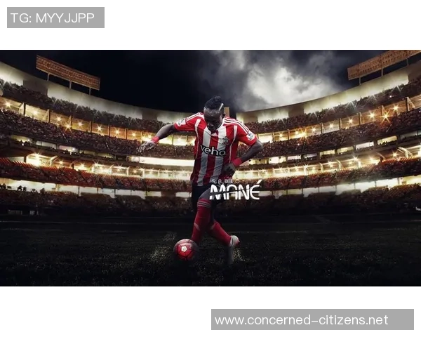 足球明星档案模板全面解析与个人成就展示助你了解球场传奇 足球明星档案模板全面解析与个人成就展示助你了解球场传奇