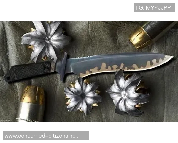 深度对话：赵静的CS_GO人生