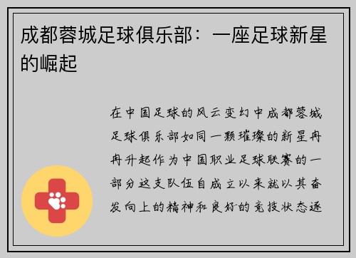 成都蓉城足球俱乐部：一座足球新星的崛起