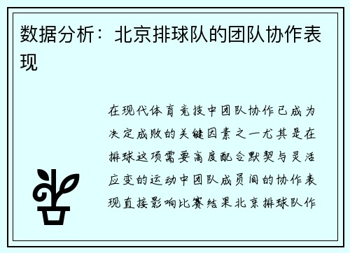 数据分析：北京排球队的团队协作表现