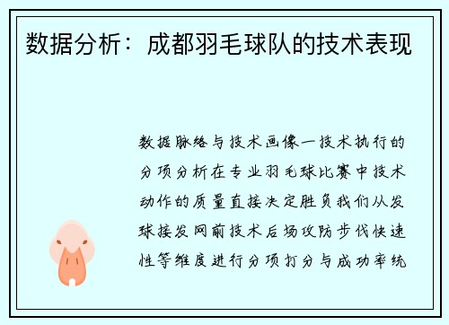 数据分析：成都羽毛球队的技术表现