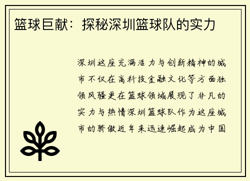 篮球巨献：探秘深圳篮球队的实力