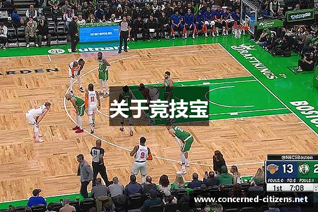 关于竞技宝